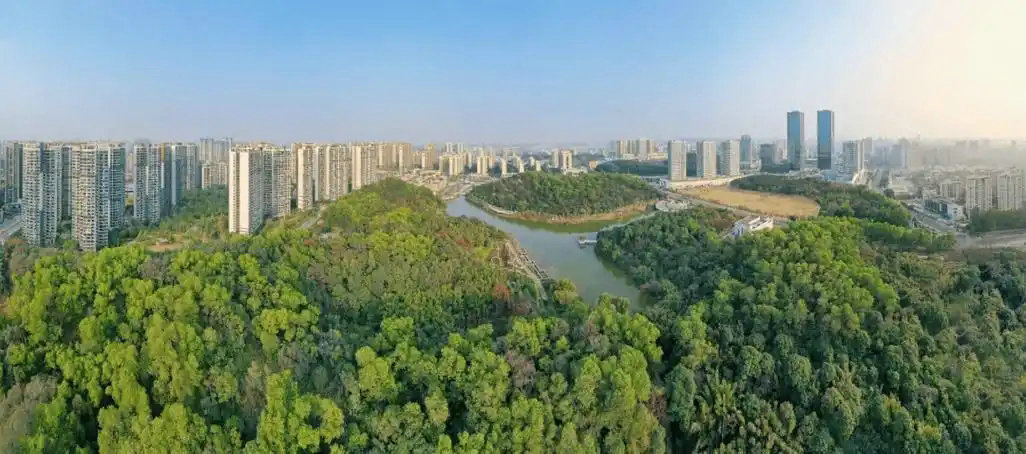 “三進三同”攜手共進，江門站助力區縣監測見成效